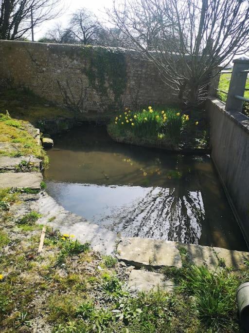 Gite Spacieux Et Chaleureux Sainte-Mère-Église Exterior foto